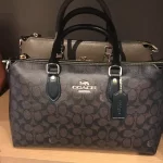 COACH GEORGİA BAG - Görsel 3