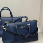COACH GEORGİA BAG - Görsel 2