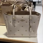 COACH MOLLİE BAG - Görsel 10