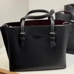 COACH MOLLİE BAG - Görsel 11