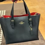 COACH MOLLİE BAG - Görsel 7