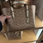 COACH MOLLİE BAG - Görsel 3