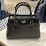 Coach darcia bag - Görsel 3