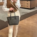 Coach small city tote bag